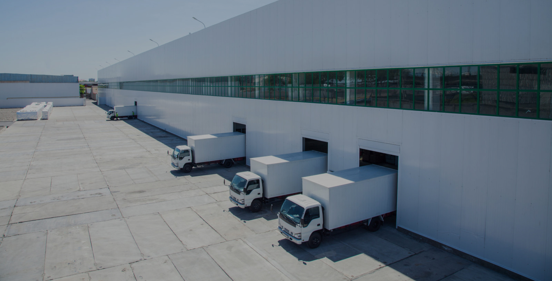 85042401111636025556